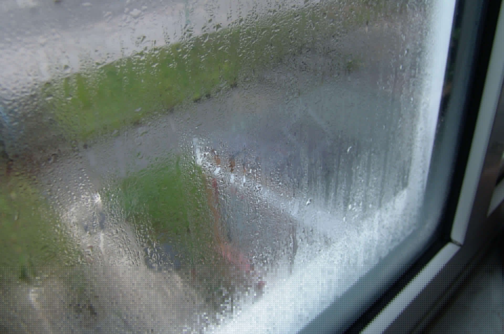 Why are my windows misted?